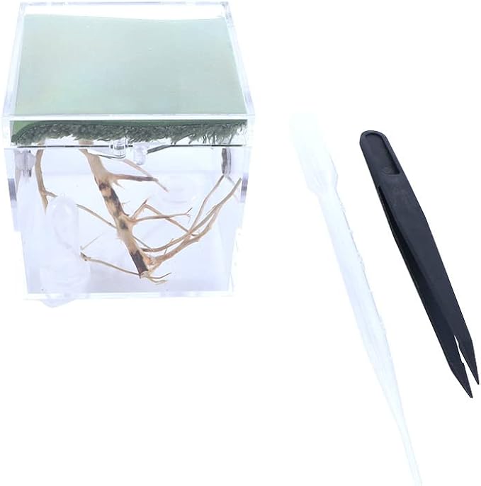 Spider Terrarium,Acrylic Reptile Terrarium,Jumping Spider Enclosure with Dropper Tongs,Reptile Breeding Habitat Box