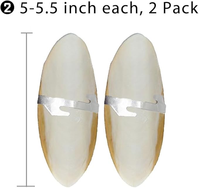 Natural Cuttlebone for Birds Parakeets Canaries Cockatiels Small Conures Mynahs Toucans African Greys All Parrots Snails Totoise, with Holder for Bird Cage(5"-5.5",2 Per Pack)