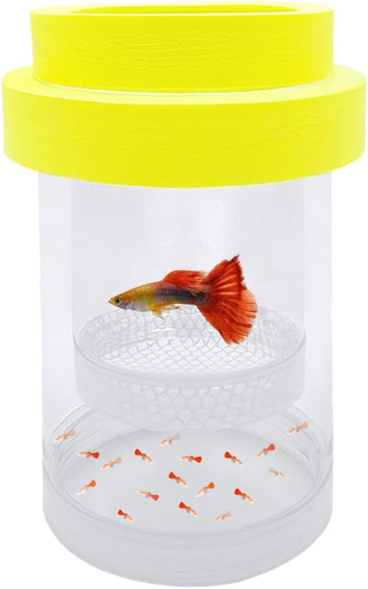 Floating Fish Breeding Isolation Box for Aquarium Tank Plastic Mesh Hatchery Incubator Breeder Box for Baby Fish Betta Shrimp Clownfish Guppy (Yellow, Small)