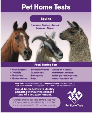 Equine
