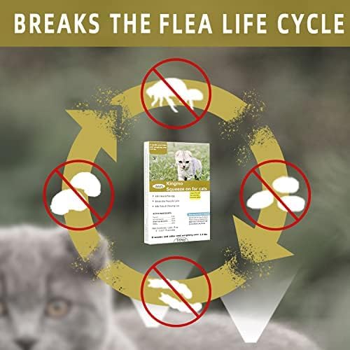 Flea and Tick Prevention for Cats, Cat Flea & Tick Control, Long-Lasting & Fast-Acting Topical Flea & Tick Treatment Drops for Kitten (6 Doses)