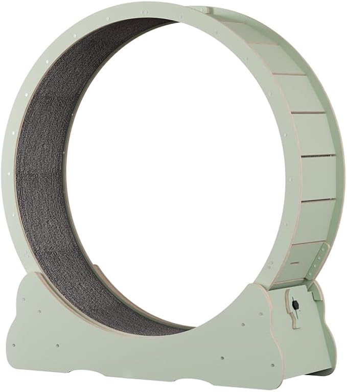 Cat Wheels for Indoor Cats. Extra Large Diameter Cat Treadmill. Made of Natural Solid Wood. Inside Diameter 40in/100cm. Including Installation Tools and Cat Teaser. (Green)