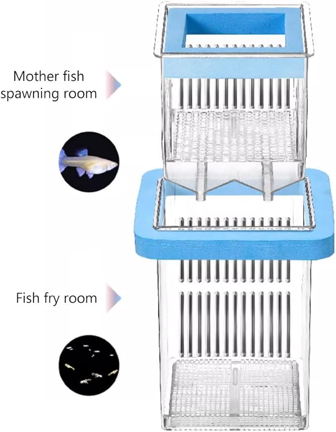 La La Pet® Floating Fish Breeding Box with Lid Parent Fish and Baby Fishes Aquarium Divider Hatching Box with Adjustable Floating Ring Transparent Incubator