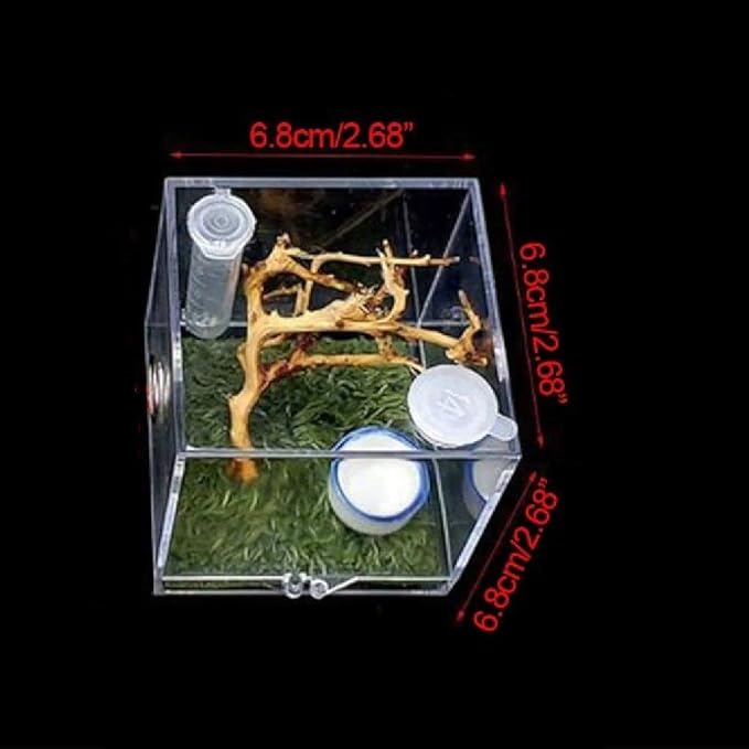 Insect Box Professional Spider Habitat Pet Supplies with Humidifier Spider Feeder Breeding Cage(Transparent)