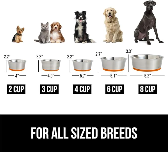 Gorilla Grip Stainless Steel Metal Dog Bowl Set of 2, Rubber Base, Heavy Duty Feeding Dishes, Food Grade BPA Free, Less Sliding, Quiet Pet Bowls for Cats and Dogs, Holds 2 Cups (16 fl oz), Orange