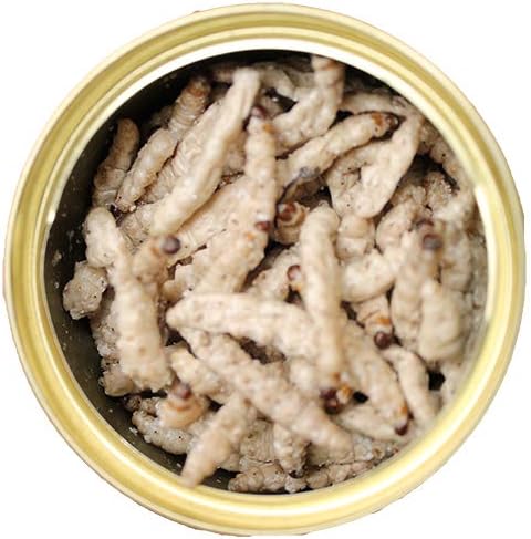 Canned Caterpillars (1.2 oz.) - Healthy High Protein Insect Treat - Hedgehogs, Sugar Gliders, Reptiles, Wild Birds, Chickens, Lizards, Bearded Dragons, Skunks, Opossums, Fish, Amphibians, Turtles