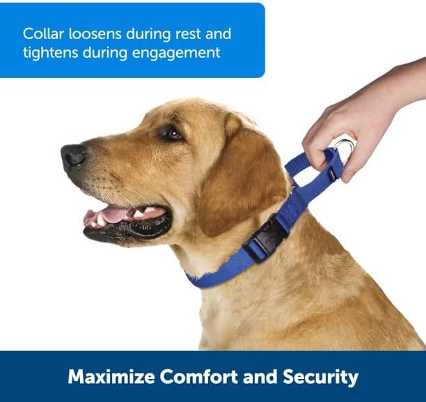 PetSafe Adjustable Martingale Collar - Only Tightens When Dogs Pull, Prevents Slipping Out - Helps with Strong Pullers, Increased Control - Alternative to Choke Collar - 3/4", Small, Red