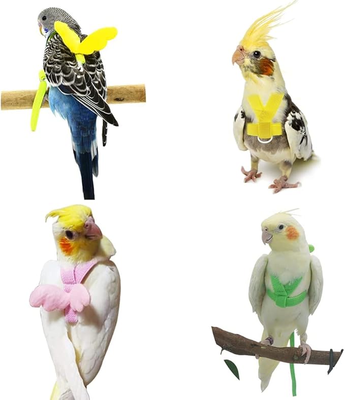 Birds Adjustable Harness and Leash, Parrot Outdoor Flying Training Traction Rope Straps with Cute Wing for Small Animal Birds, Parrots, Pigeons, Lizard, Turtles (XS,Pink)