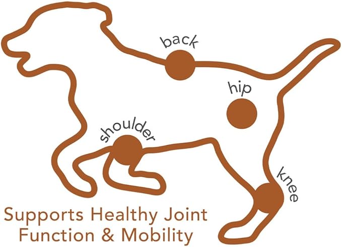 Vet's Best Hip & Joint Soft Chew Dog Supplements | Formulated with Glucosamine & Chondroitin to Support Dog Joint & Cartilage Health | 30 Day Supply