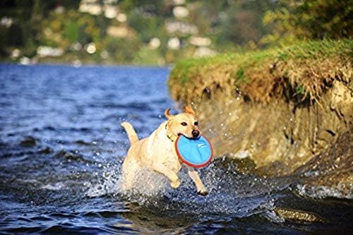 Chuckit Paraflight Flying Disc Dog Toy, Small (6.75"), Orange And Blue