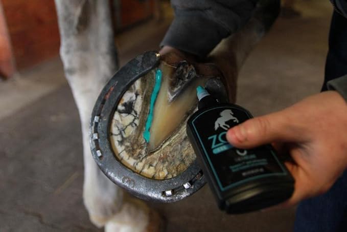 Zomp Liquid Hoof Thrush and White Line Treatment for Horses: Effective for Thrush Relief and Prevention on All Hooved Animals