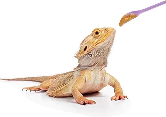 2Pcs Reptile Spoon, Reptile Powder Fruit Mixing Stirring Food Long Handle Feeding Tool Fit Crested Gecko Gargoyle Bearded Dragon