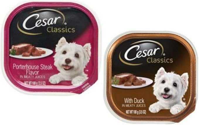 Cesar Classic Loaf in Sauce Wet Dog Food - 8 Flavor Variety Bundle, 3.5 Ounces Each - Pack of 8 Plus My Buddy Notepad (9 Items Total)