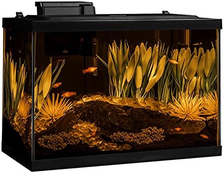 Tetra ColorFusion Aquarium 20 Gallon Fish Tank Kit, Includes LED Lighting and Decor