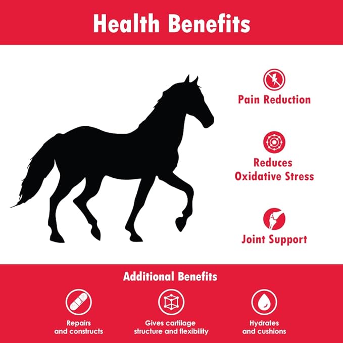 Joint MAX Triple Strength EQ GRANULES for Horses - Support Joint Health - Glucosamine, Chondroitin - Vitamins, Minerals, Omega 3 Fatty Acids, Antioxidants - 180 Doses