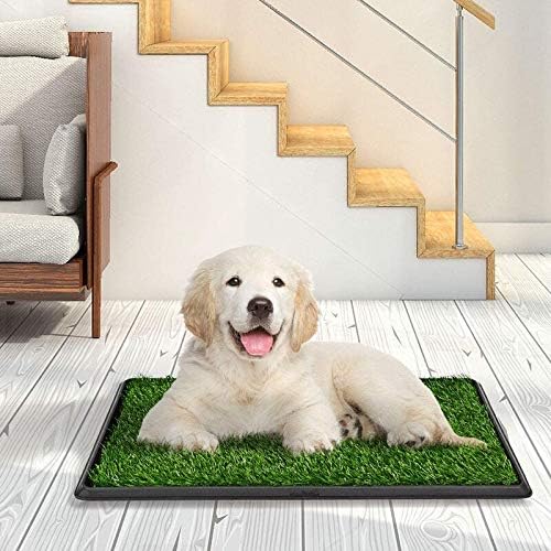 Dog Potty Tray Indoor Outdoor Washable Pee Pad for Dogs, 3 Layered System Dog Litter Box for Puppy Training (30 x 20 Grass with Tray)