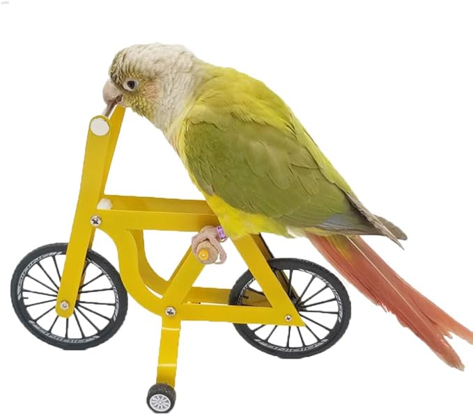 QBLEEV Bird Intelligence Training Toy，Parrot Puzzle Bicycle Toy for Small Medium Bird，Parrot Educational Table Top Trick Prop Toy，Bird Foot Talon Toy for African Grey Cockatoo Eclectus Conures