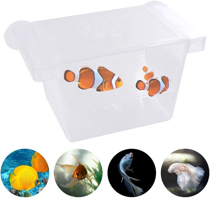 Fish Breeding Box Acrylic Hatchery Incubator Tank with Suction Cups Clownfish Incubator for Baby Fish Shrimp and Guppy