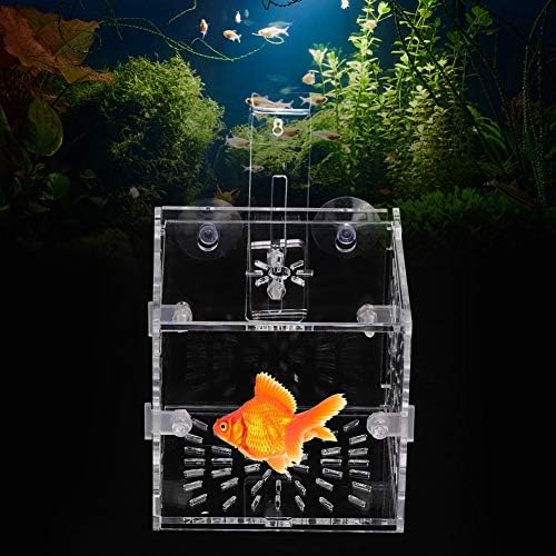 Fish Separation Breeder Box, Acrylic Transparent Fish Breeding Isolation Box Aquarium Hatchery Incubator Holder(A-10x10x10cm)