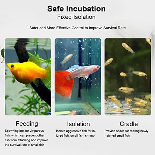 GLOGLOW Aquarium Breeder Box, Transparent Acrylic Fish Isolation Box Fish Hatchery Incubator Holder for Newborn Fry Shrimp Guppy Clownfish(30CM*10CM*10CM)