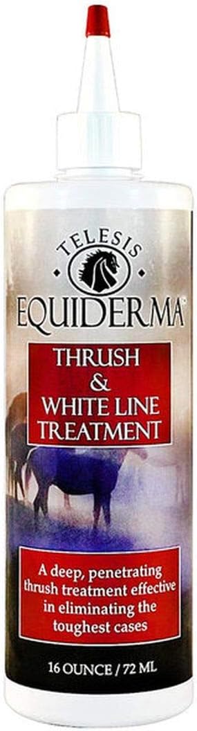EQUIDERMA Thrush and White Line Treatment 16 oz