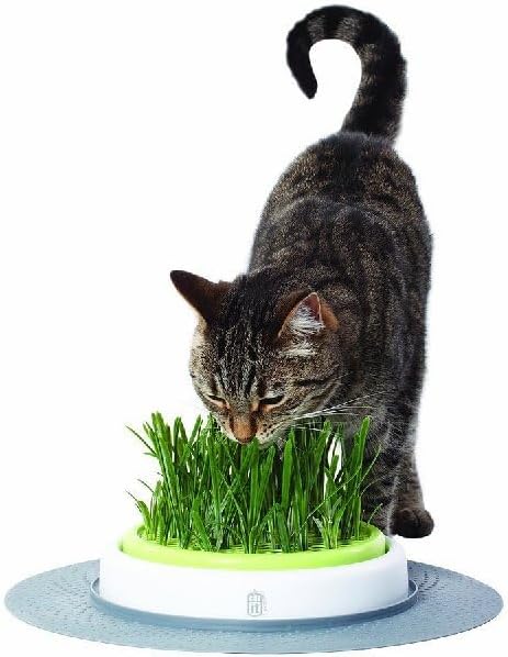 Catit Senses 2.0 Cat Grass Planter, Interactive Cat Toys