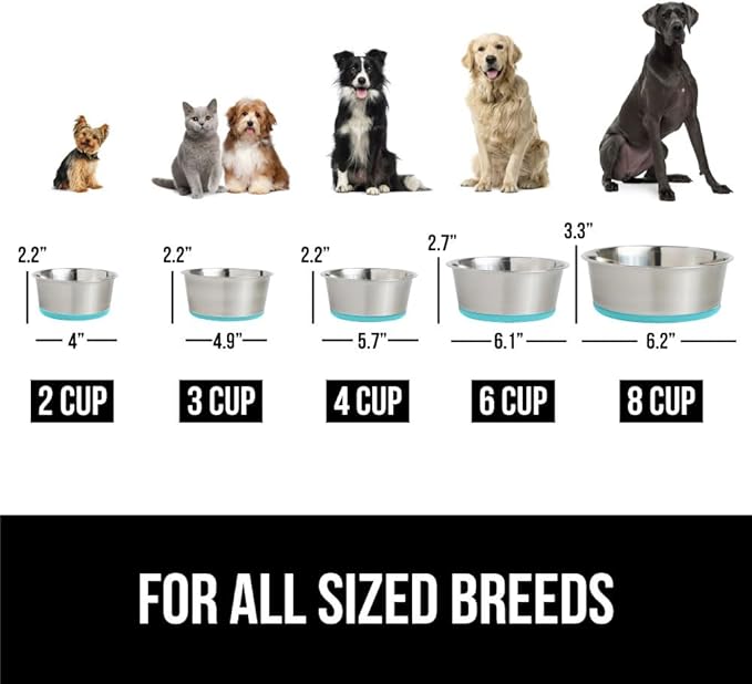 Gorilla Grip Stainless Steel Metal Dog Bowl Set of 2, Rubber Base, Heavy Duty Feeding Dishes, Food Grade BPA Free, Less Sliding, Quiet Pet Bowls for Cats and Dogs, Holds 2 Cups (16 fl oz), Turquoise