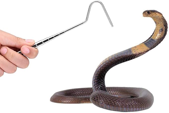 Asixxsix Reptile Catcher, Stainless Steel Reptile Capture Hook, Tough and for Moving Small Snakes Pet Shop Reptile Collecting Wild Snakes