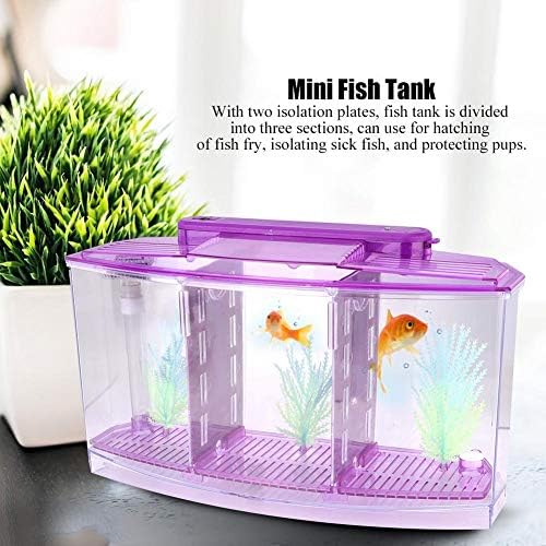 Mini Fish Box, Aquarium Isolation Box Acrylic Breeding Hatchery Small Fishes Incubator Mini Fish with Three Divisions and LED Light()