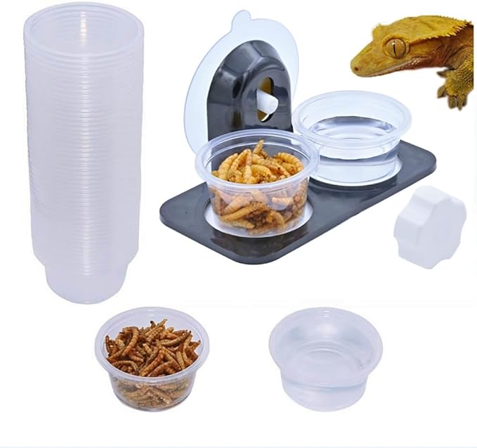 100 Cups + Feeding Ledge [Non-Suction Cup], Reptile Amphibian Food Bowls and Water Dish for Crested Gecko, Lizard Or Other Small Pet Feeder Ledge Accessories Supplies - 1oz Cups 100 pcs