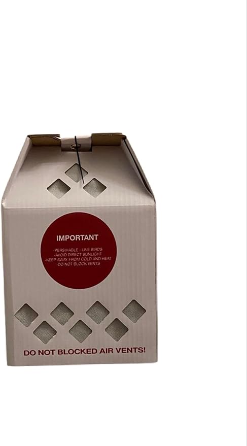 Shipping Box for Live Birds Economy Size 18" x 8" x 12" Tall with Handle - for Poultry, Pigeons, & Canaries -1 Box
