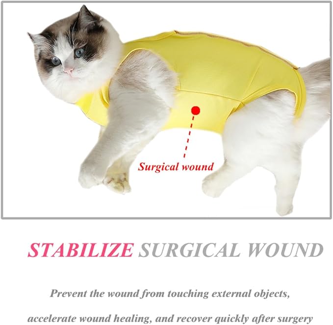 Cat Recovery Suit for Abdominal Wounds or Skin Diseases, Cat Onesie for Cats After Surgery Female Kitten Recovery Suit, Breathable E-Collar Alternative for Cats After Spay Anti Licking Wounds