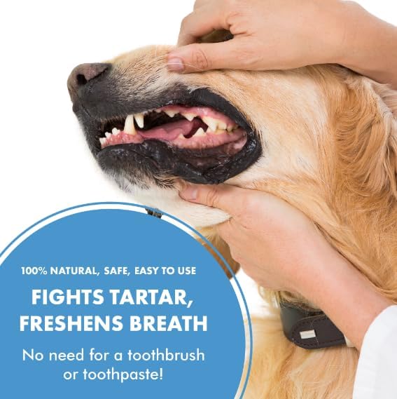 PetSilver Teeth & Gum Spray, Patented Chelated Silver, Dog Teeth Cleaning, Natural Dog Breath Freshener, Cat Teeth Cleaning Without Brushing, Dog Dental Spray, Made in The USA, 4 oz.