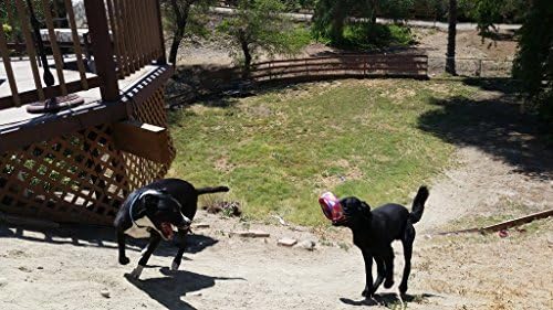 Replacement Dog Exerciser Rings for 65-ft. Flying Ring Launcher | Replacement Rings Only (Launcher Not Included) | Made of Extra Tough Spandex | Set of 3