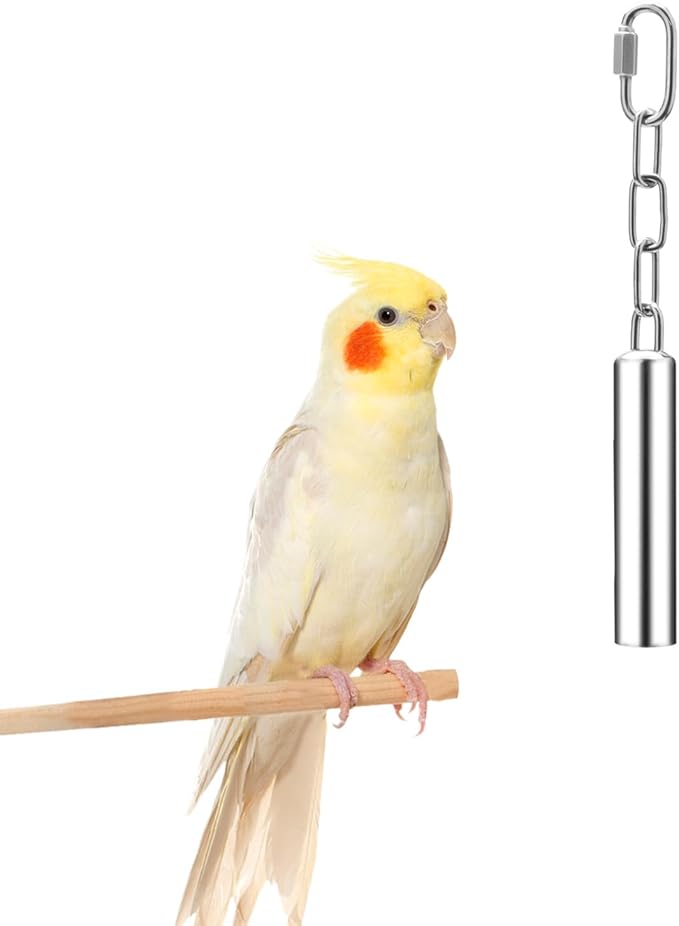 Stainless Steel Bell Toy Bird Cage Hanging Bite Toy for Parrot Parakeet Budgie Cockatiel Conure African Greys (S)