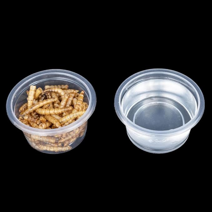 100pcs 1oz Crested Gecko Food and Water Feeding Cups, Reptile Feeder Bowls, for Lizard and Other Small Pet Ledge Accessories Supplies