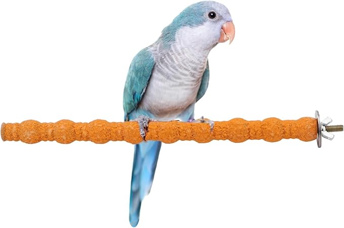 Hypeety Wood Perch Stand Paw Grinding Stick Toy Colorful Pet Bird Cage Stand Platform for Bird Parrot Budgies Parakeet Cockatiels Cage Accessories (Random Color) (10in / 25cm)