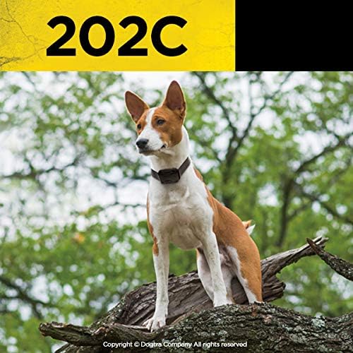 Dogtra 202C Remote Training E-Collar - 1/2 Mile Range - 2-Dogs System, Static, Vibration, Medium Output, Adjustable Levels, Waterproof, Electric Dog Collar for Basic Training of Small, Medium Dogs