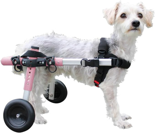 Walkin' Wheels Small Dog Wheelchair, Lightweight Dog Wheelchair for Back Legs, 15-25 lbs, for 12-15 inches Leg Height - Pink
