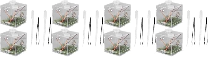 balacoo 8 Sets Jumping Spider Enclosure: Spider Cage Habitat Terrarium Micro Scorpion Droppers Reptile Hide Clear Jumping Enclosure Breeding Box Case with Breeding Tweezers Tank