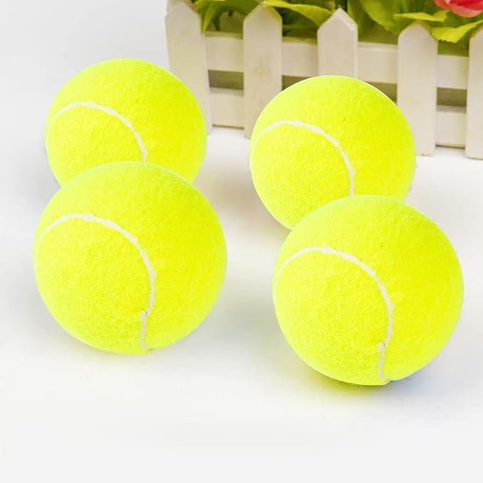 Dog Tennis Balls 16 Pack Easy Catch Pet Dog Tennis Balls for Dogs Interactive Dog Balls Toys for Medium Dogs and Small Dogs Standard Size Tennis Balls for Toss and Fetch Game(2.5 inch)