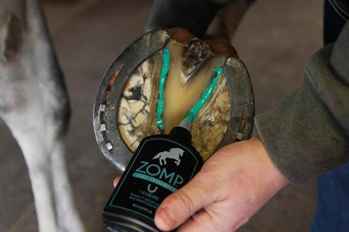 Zomp Liquid Hoof Thrush and White Line Treatment for Horses: Effective for Thrush Relief and Prevention on All Hooved Animals