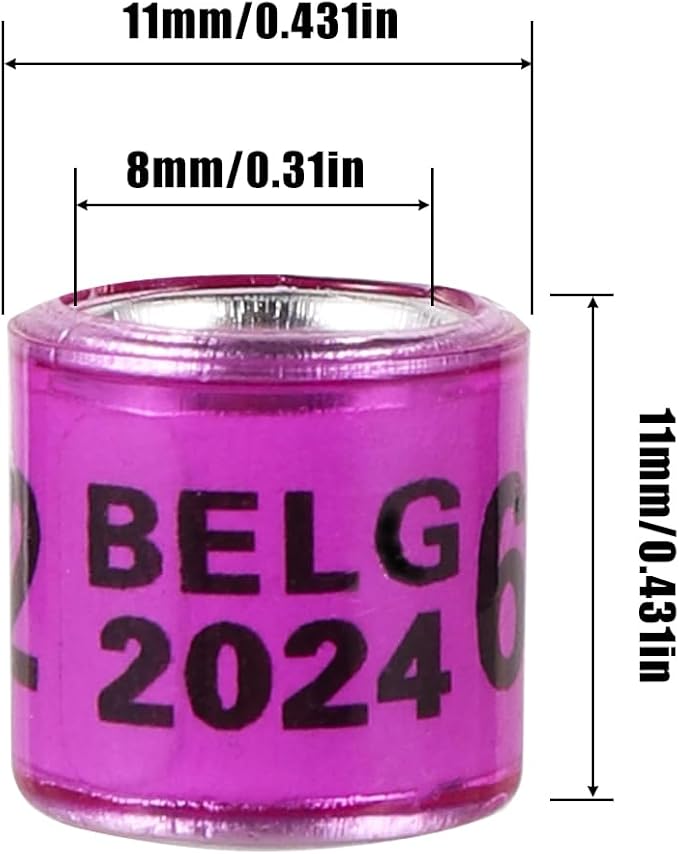 50Pcs Multicolor Aluminium Pigeon Leg Rings with 2024 BELG Training Identify Birds Foot Ring Identify 8mm Plastic Bird Leg Bands (Purple)