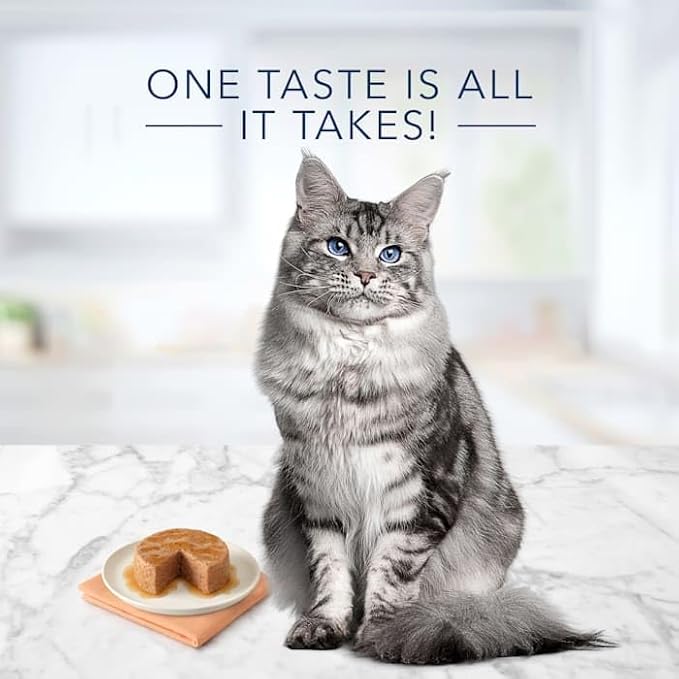 Blue Buffalo Tastefuls Chicken Entree Mature Wet Cat Food Pate, 3 oz., Case of 12