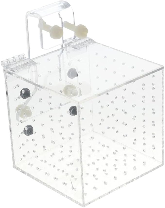 Aquarium Breeding Isolation Box Fish Tank (3.9 * 3.9 * 3.9inch) Hollow Aquarium Hatchery Incubator Holder Hatching Incubator Box