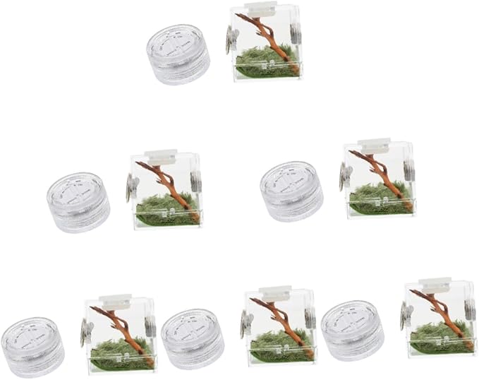 Mipcase 6pcs Box Jumping Spider Breeding Box Miniature Glass Animals Spider Micro Habitat Spider House Aquarium Breeding Tank Mini Fence Spider Habitat Reptile Wood Little Spider to Climb