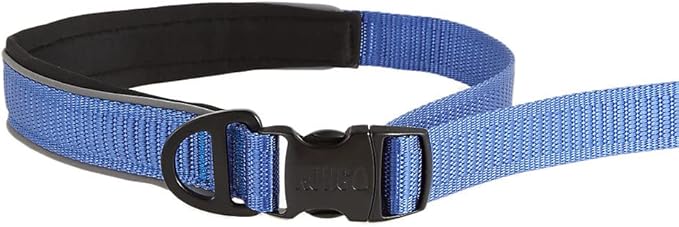 KONG Reflective Shock Absorbing Hands-Free Bungee Dog Leash 6' (Blue)