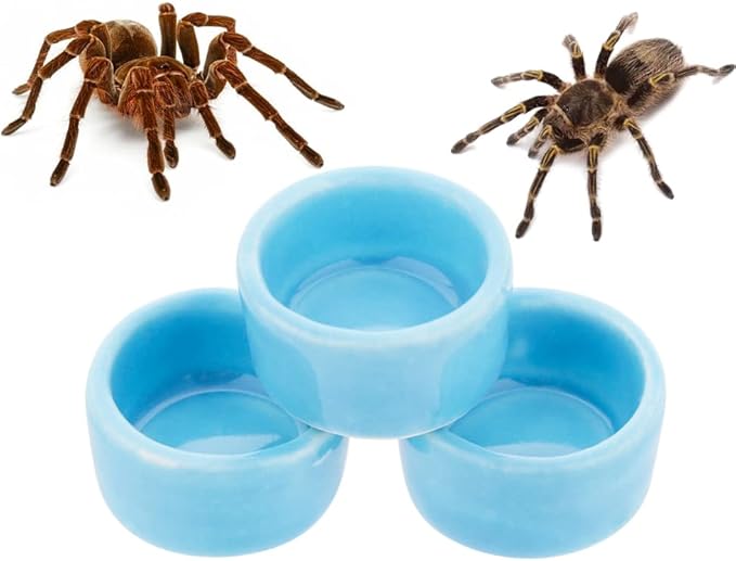 9 Pcs Spider Ceramic Water Bowl Tarantula Mini Dish for Tarantula Spider Millipede Tiny Bugs Terrarium Accessories (Blue)