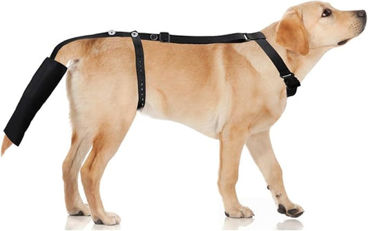 Dog Tail Protector Bag Dogs Tail Guard Sleeve Wound Heal Protector for Pets Animals Dog Happy Tail Syndrome