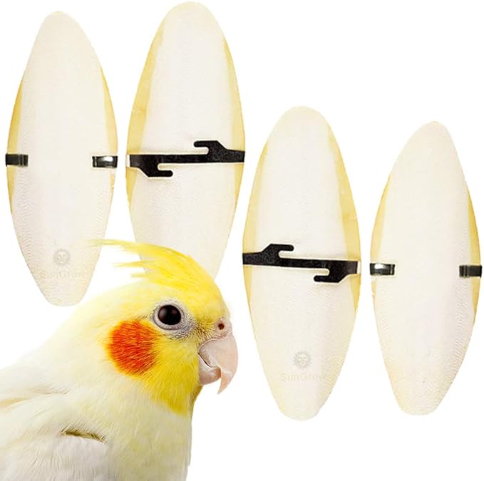SunGrow 4 Pack Cuttlefish Bones for Cockatiels, Turtles, Shrimp, Dog Calcium Supplement, Cuttlebone Cage Holder Included